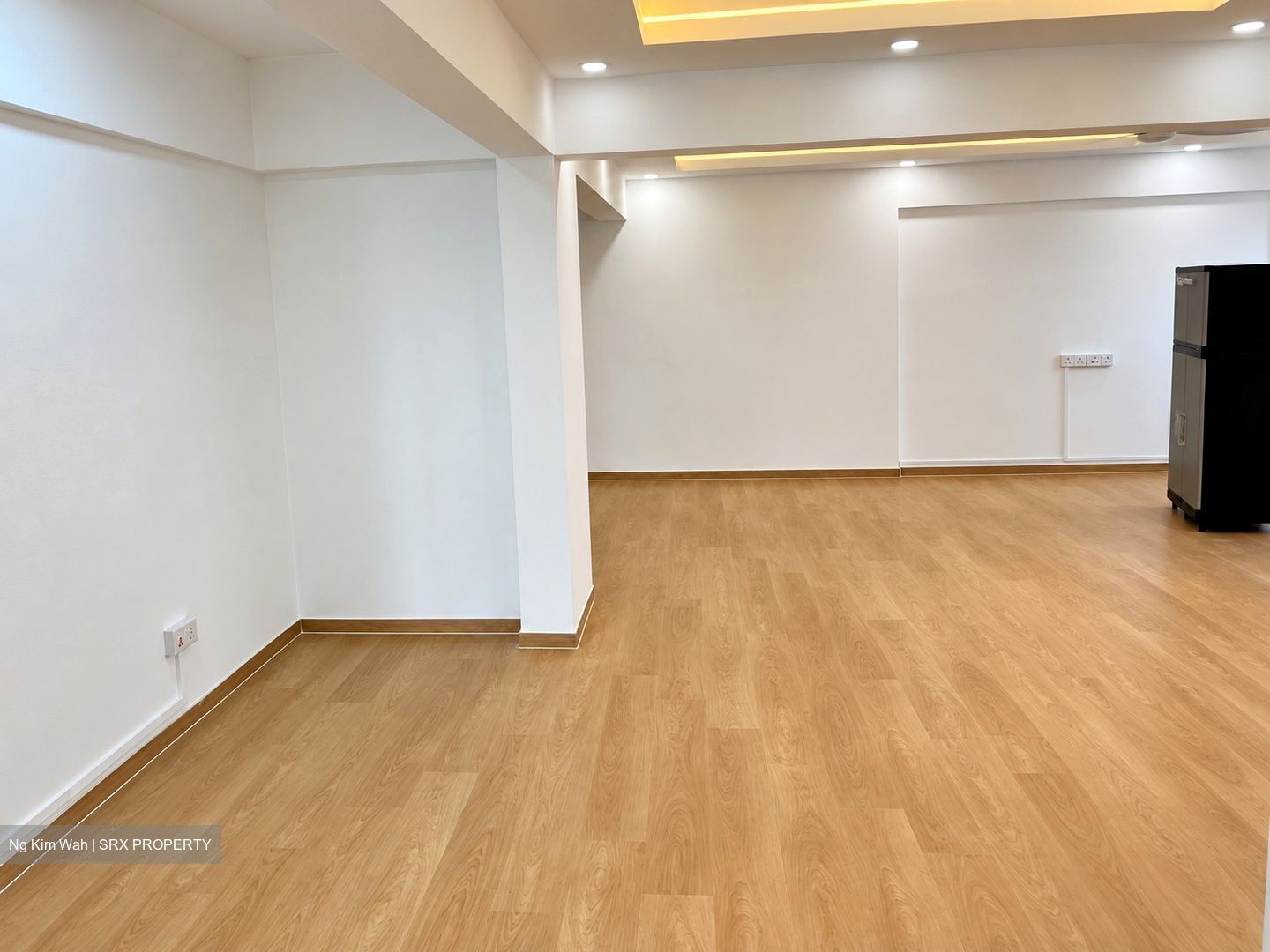 Spottiswoode Park (D2), Apartment #625583311